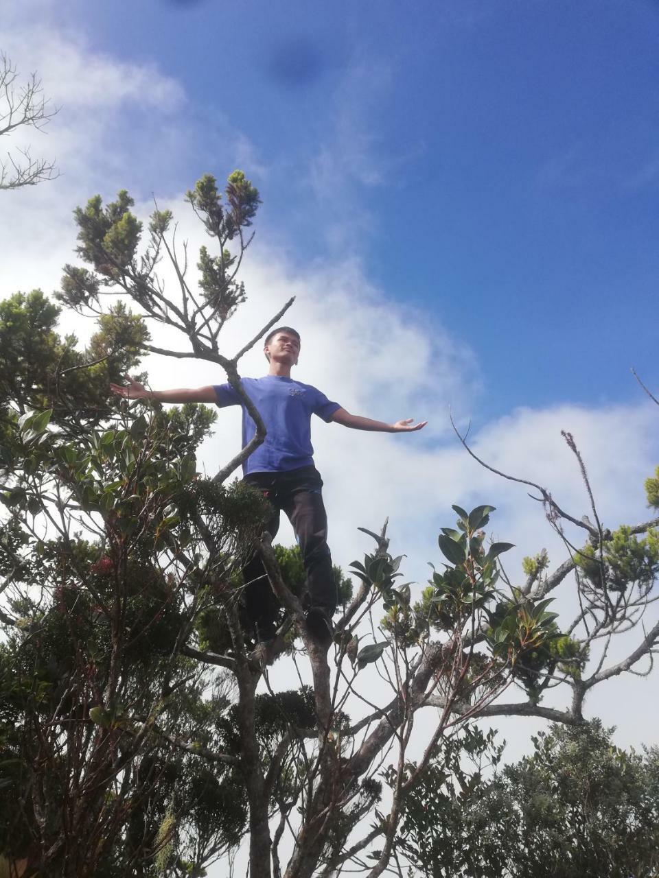 Strawberry Rest House Mesilou Kundasang ภายนอก รูปภาพ